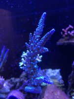 IMG_4185.jpg