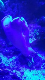 20180204_180831.jpg