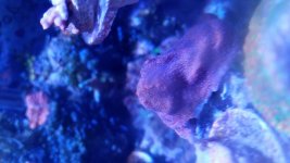 20171108_180858.jpg