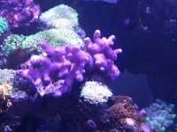 IMG_20180908_161412.jpg