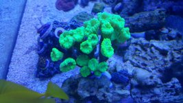 .IMG_20170511_195711.jpg