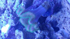 20180727_144832.jpg