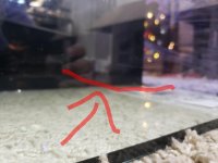 _20181124_182826.jpg