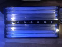 ADE462E2-29FB-4468-A988-20B0D2AC604A.jpg