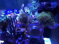 IMG_0587.jpg