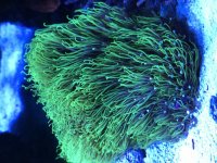 IMG_0583.jpg