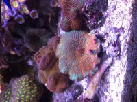 IMG_0119.jpg