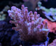 IMG_20171109_203951.jpg