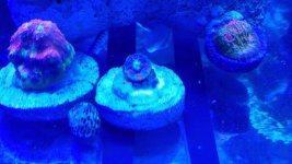 20180207_104506.jpg