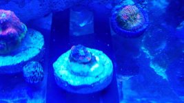 20180207_104521.jpg