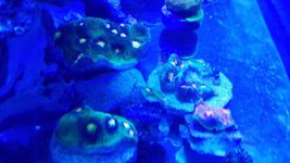 20180207_104433.jpg