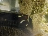 20170815_114503.jpg