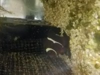 20170815_114441.jpg