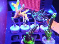 IMG_20190124_160843.jpg
