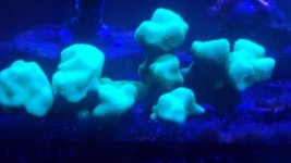 20171110_113013.jpg