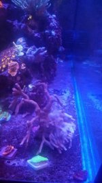 c2.jpg