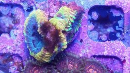 IMG_20181127_184822_316.jpg