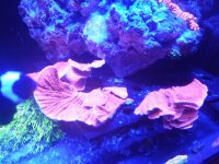 IMG_20190205_112724.jpg