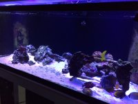 IMG_0804.JPG