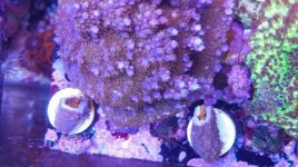 IMG_20181127_184810_774.jpg