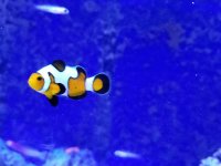 20170813_205054.jpg