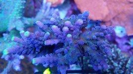 IMG_20181108_194044_506.jpg