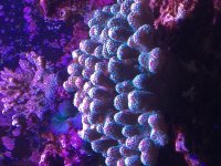IMG_3599.jpg
