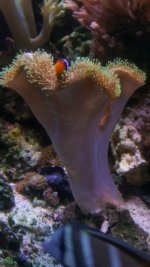20180206_133429.jpg