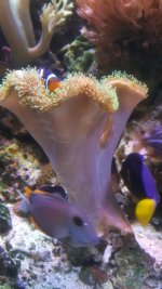 20180206_133425.jpg