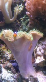 20180206_133416.jpg