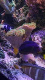 20180204_205033.jpg