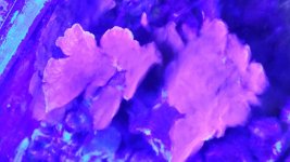 20190205_193105.jpg