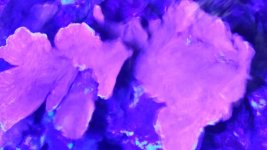 20190205_192521.jpg