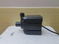 20180424_174350.jpg
