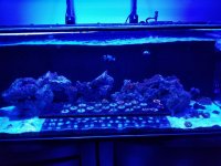 20180208_200534.jpg