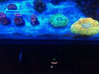 IMG_4839.HEIC.jpg
