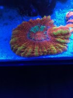 IMG_4879.HEIC.jpg