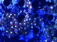 79501ED5-DF70-44B7-A8D1-12EF6EB2D4D3.jpg