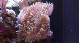 DSCF5132.jpg