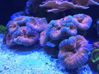 59492F4C-EFE1-4838-A594-221F76F3FCC3.jpg