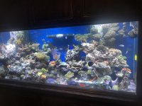 IMG_0311.jpg