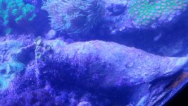 20180801_153517.jpg