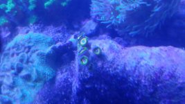 20180801_153607.jpg