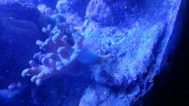 20180801_153624.jpg