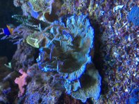 C6DDA70E-5612-4C85-9131-A003DE97AC9A.jpg