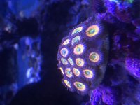 77C99C7E-DD50-49AB-A64E-D59D80E24A6F.jpg