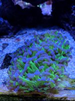 IMG_20181130_183329.jpg