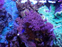 IMG_20181130_185722.jpg