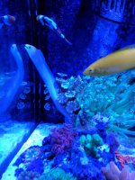 IMG_20170723_175752.jpg
