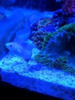 IMG_20170723_175809.jpg